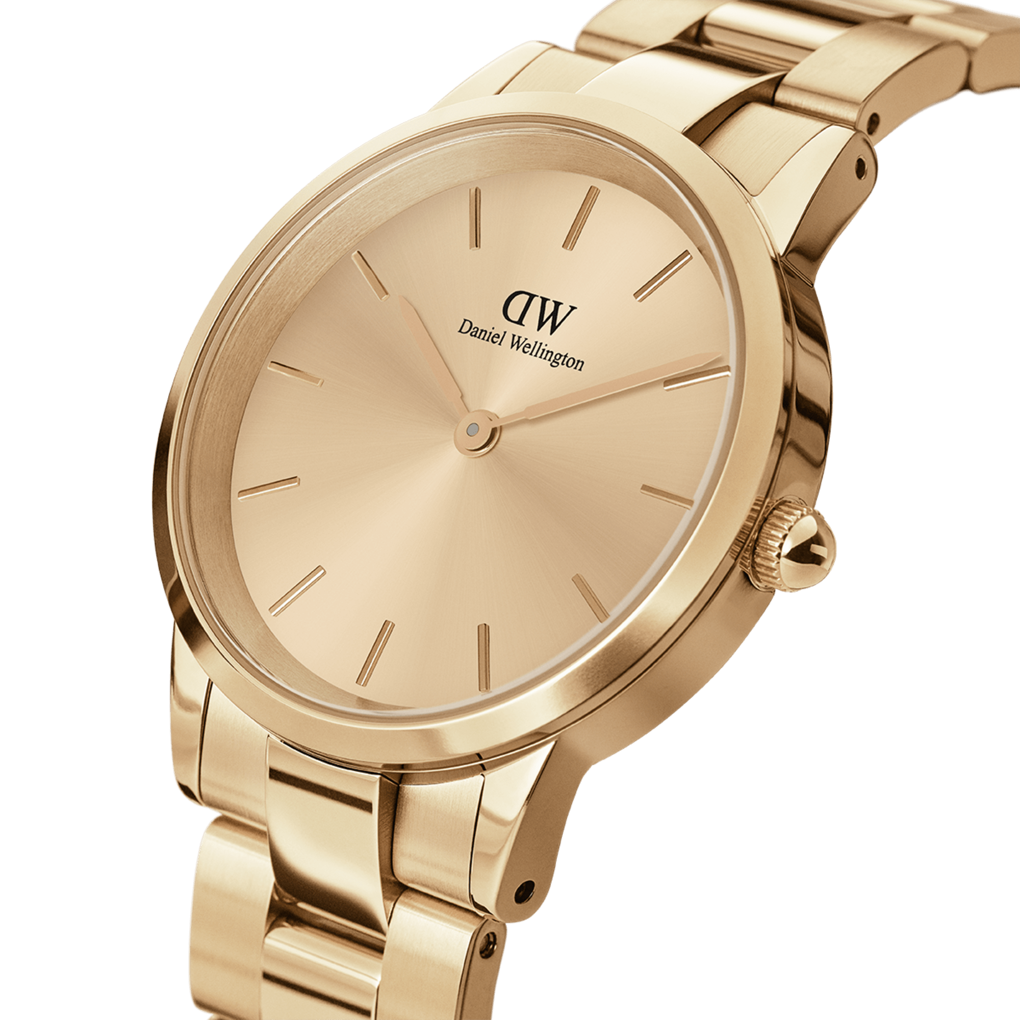 DW Iconic Link Unitone G Watch